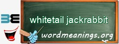 WordMeaning blackboard for whitetail jackrabbit